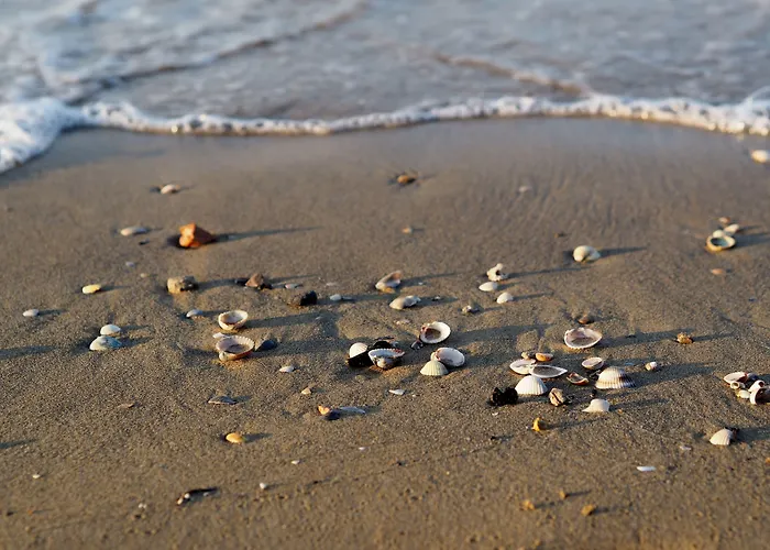 Homely Flat With Balcony And Swimming Pool Bibione