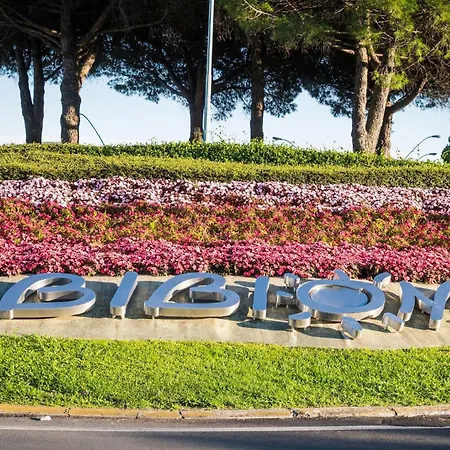 Homely Flat With Balcony And Swimming Pool Bibione