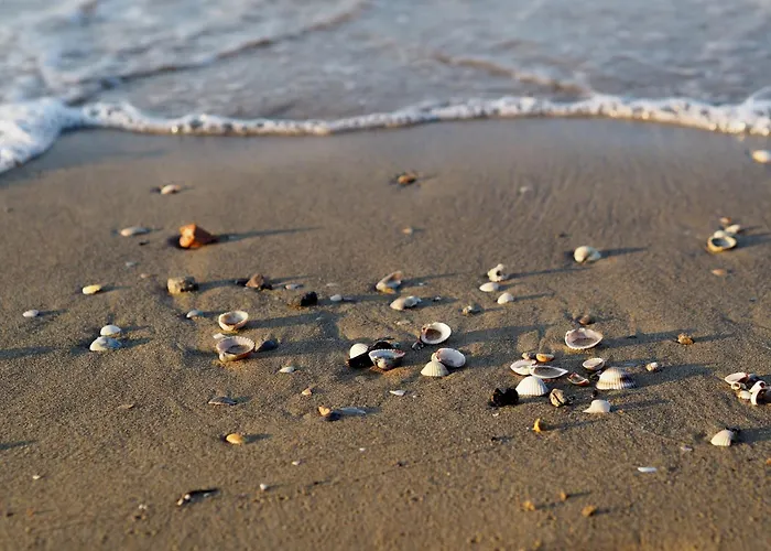 Apartment Homely Flat With Balcony And Swimming Pool